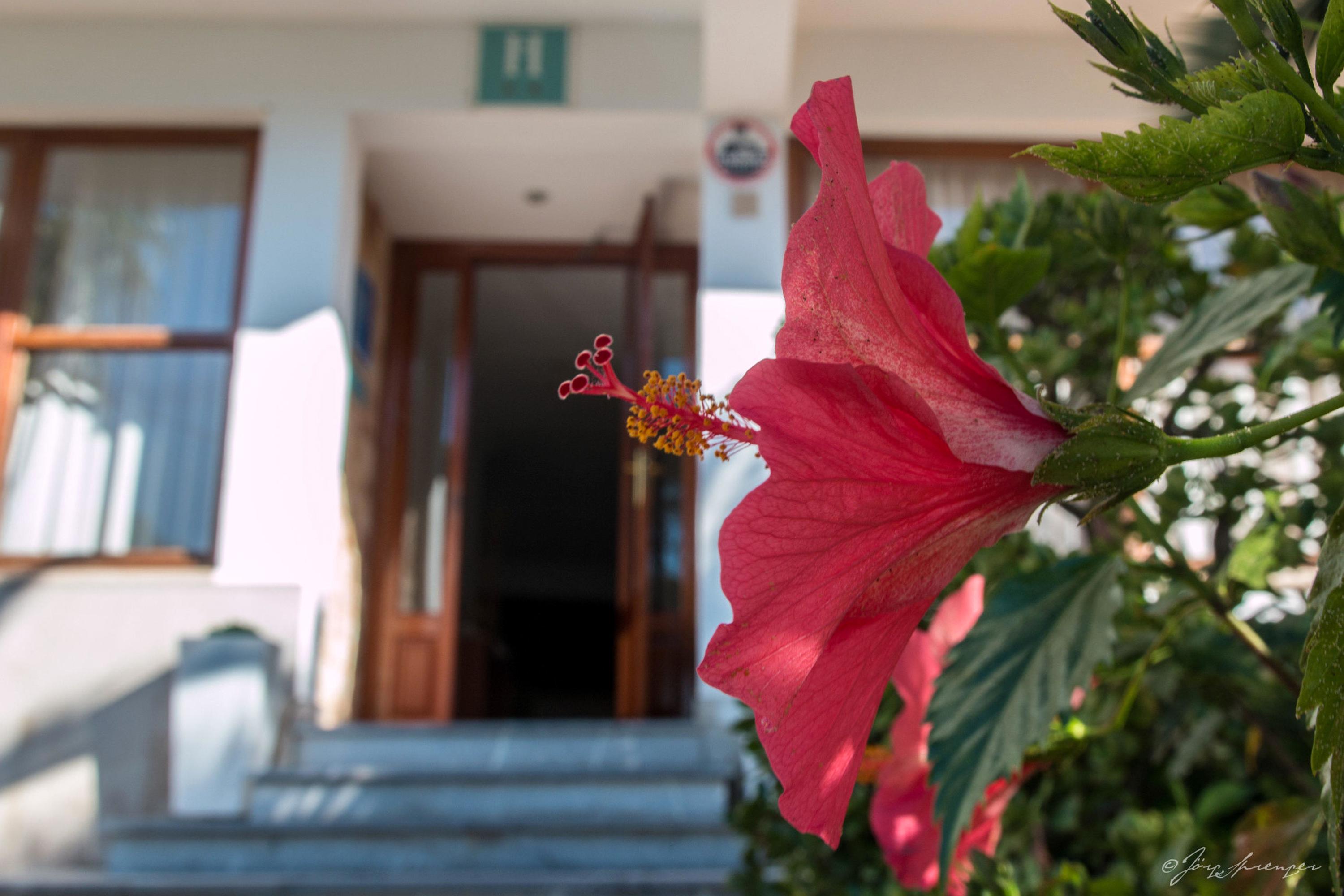 Hotel Santanyi Port Cala Figuera  Luaran gambar